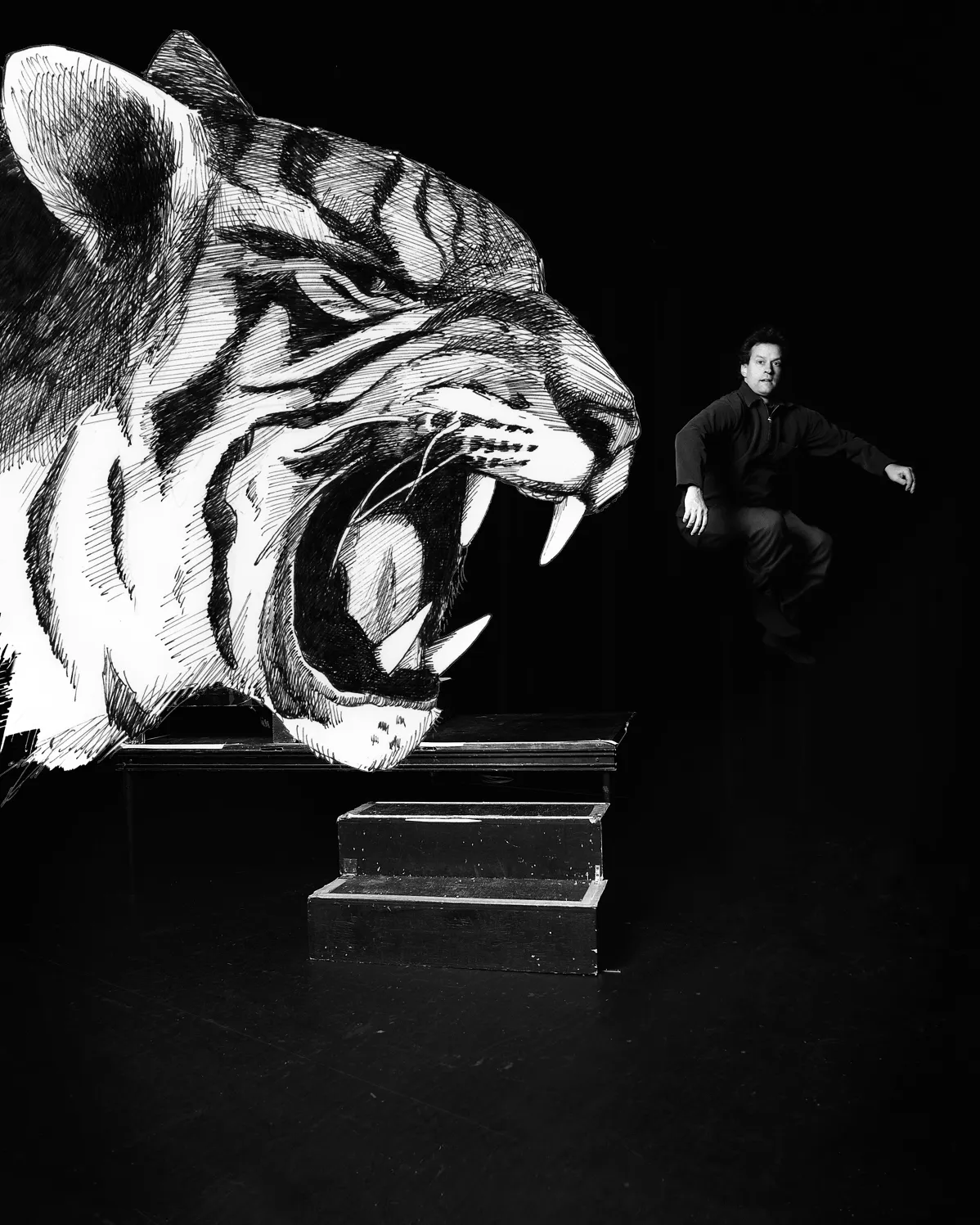 Oreille, tigre et bruit