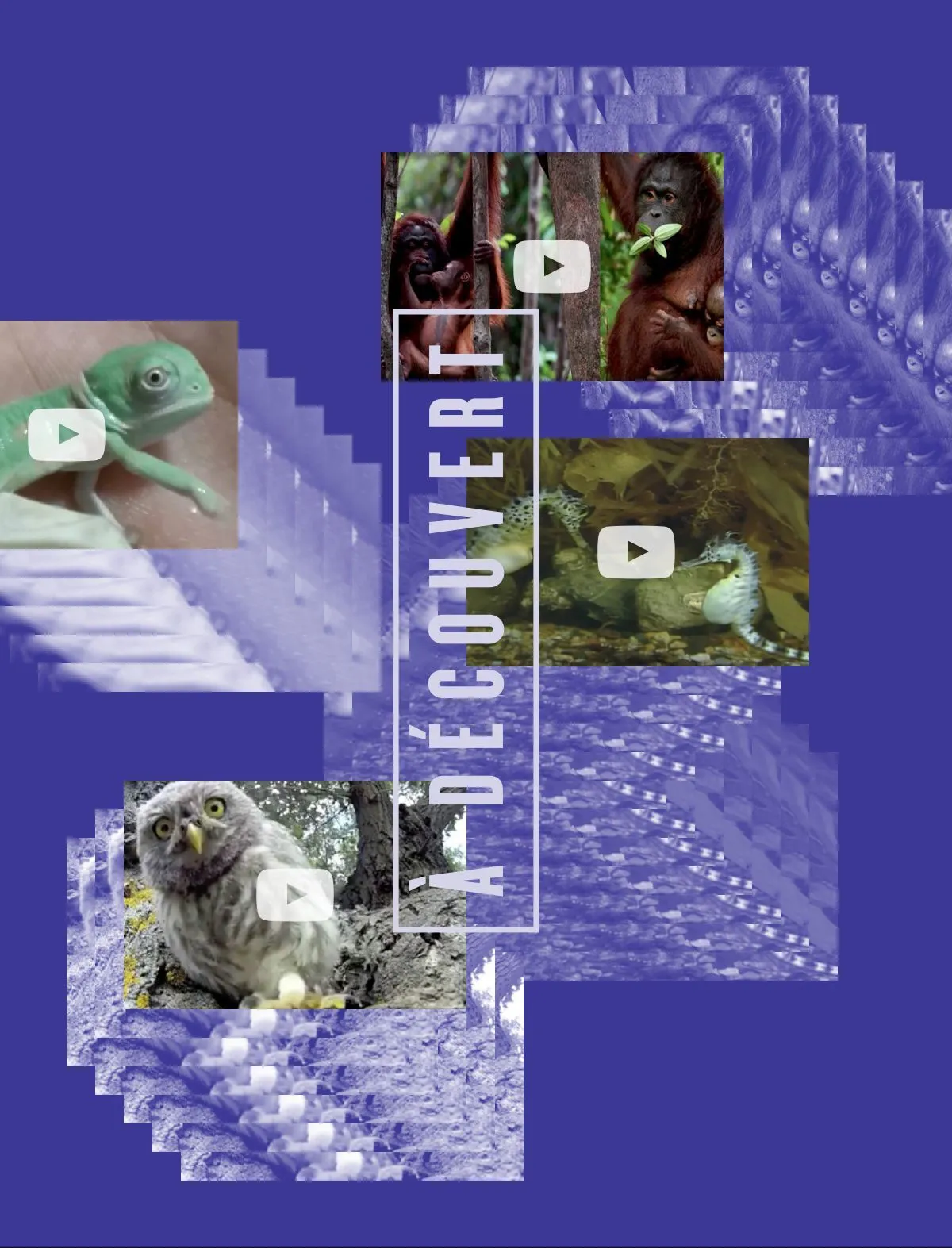 À découvert : Marianne Dansereau